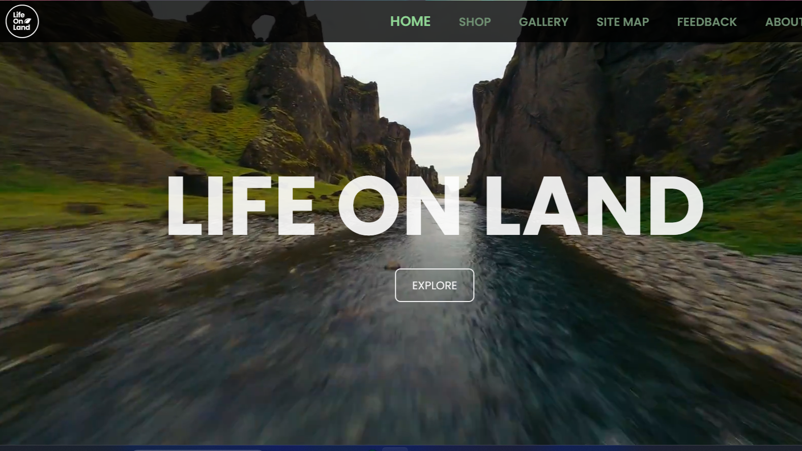 life on land